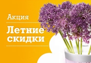 Не пропустите, снижение цен на светодиодные аксессуары Philips Lumiware!