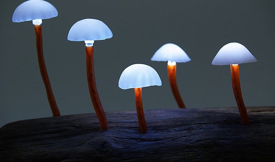 The Great Mushrooming