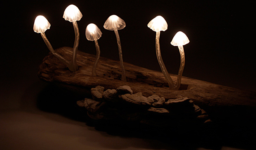 The Great Mushrooming