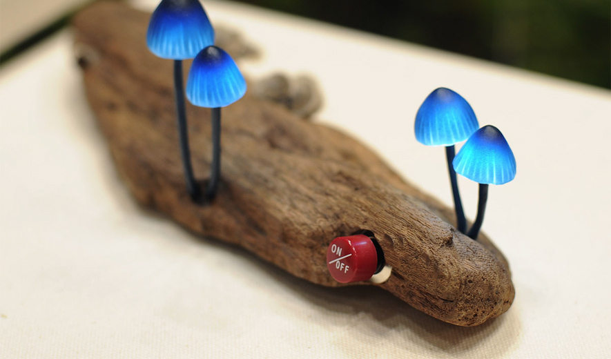 The Great Mushrooming