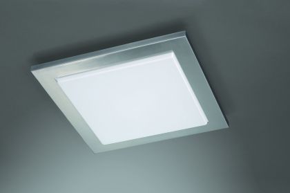 Потолочный светильник ESEO 30207/17/13