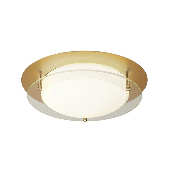 Светильник потолочный Searchlight BATHROOM FLUSH 6830-30GO
