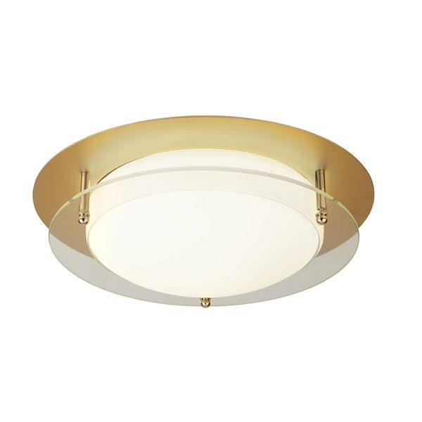 Светильник потолочный Searchlight BATHROOM FLUSH 6830-38GO