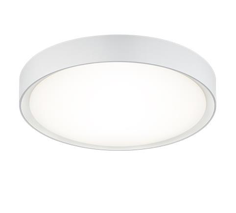 Потолочный светильник Trio 659011801