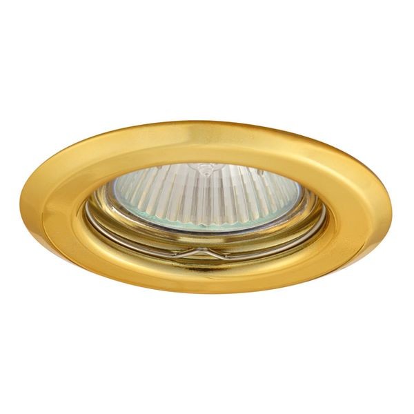 Точечный светильник Kanlux CT-2114-G Argus (00300)