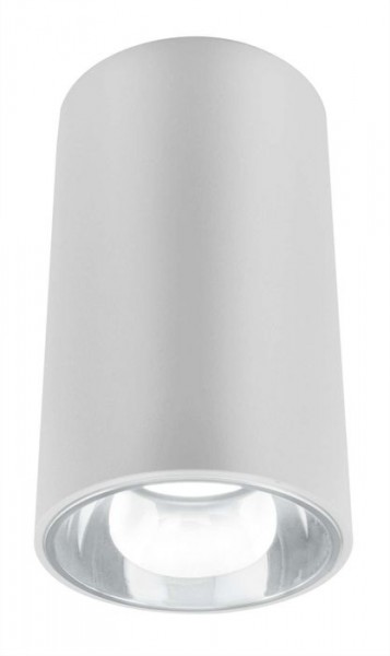 Точечный светильник Blitz 29129W