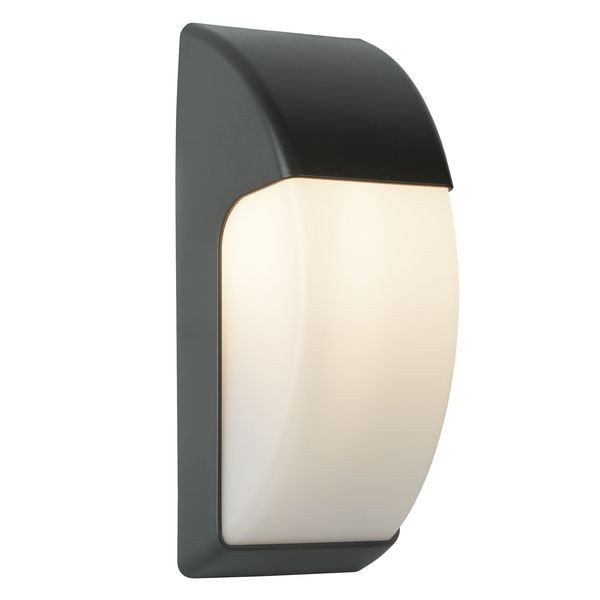 Настенный светильник Searchlight LED OUTDOOR 3231GY