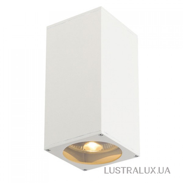 Настенный светильник SLV 229571 Big Theo Up-Down Out